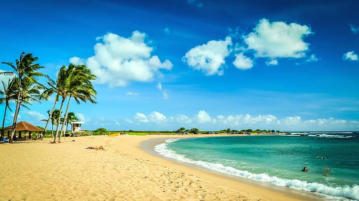 A sandy shore, turquoise water, palm trees, and a small beach hut