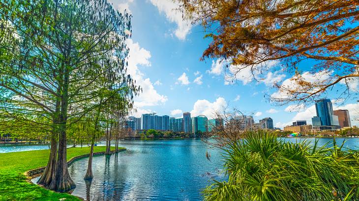 A tranquil lake surrounded by green trees, with a cityscape in the background A tranquil lake surrounded by green trees, with a cityscape in the background