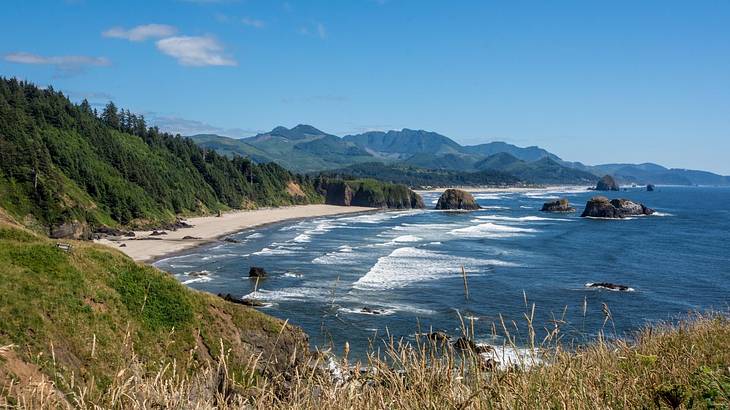 A view across a beach, with a sandy shore, the ocean, and greenery-covered hills
