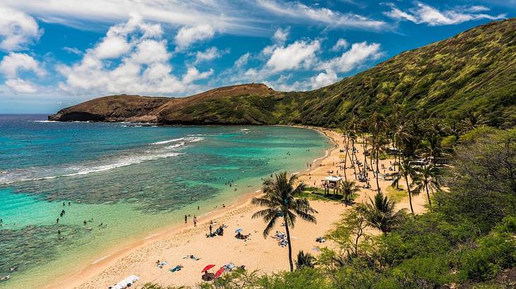 A beach with sand, emerald water, palm trees, and greenery covered hills