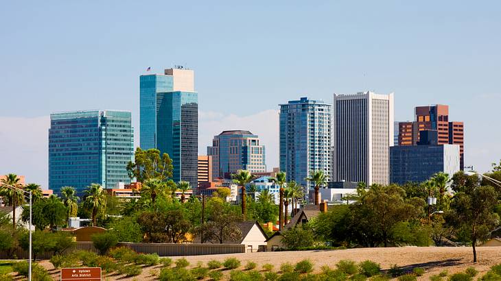Looking at trees & vegetation against a city skyline under a light-blue sky Looking at trees & vegetation against a city skyline under a light-blue sky