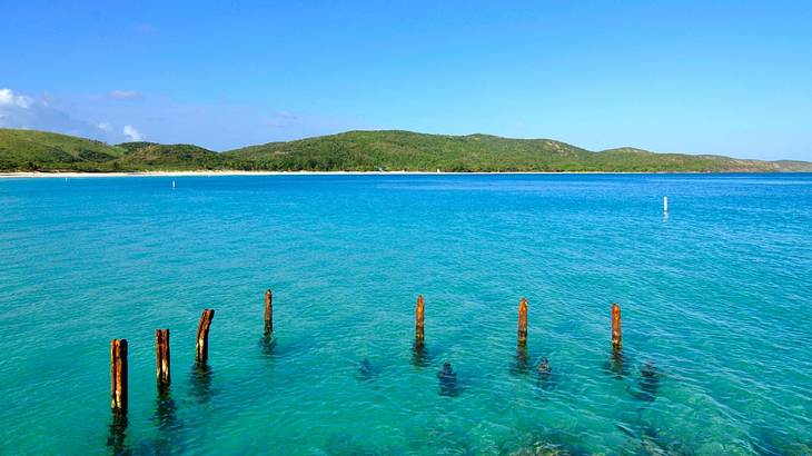 Turquoise water with wood sticks in the water and greenery-covered hills on the shore