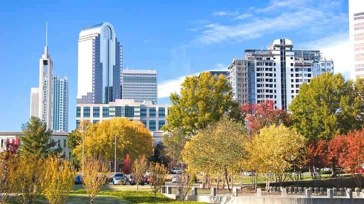 A city skyline with green and red trees in front of it on a clear day