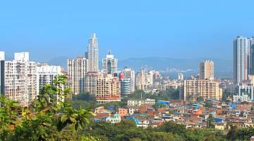 A skyline with tall skyscrapers overlooking a suburb surrounded by green trees