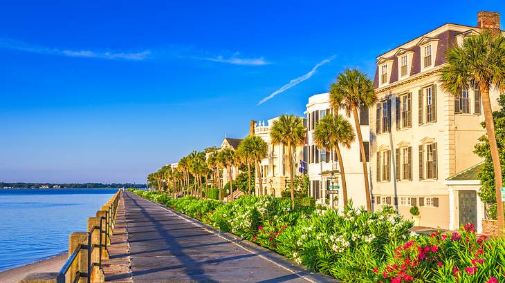 There are numerous romantic things to do in Charleston, SC, for couples
