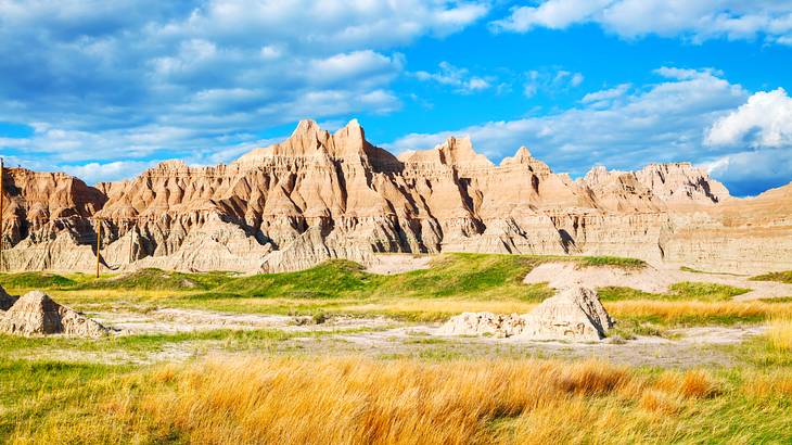 A rocky field with green and yellow grasses at the foot of a barren mountain range