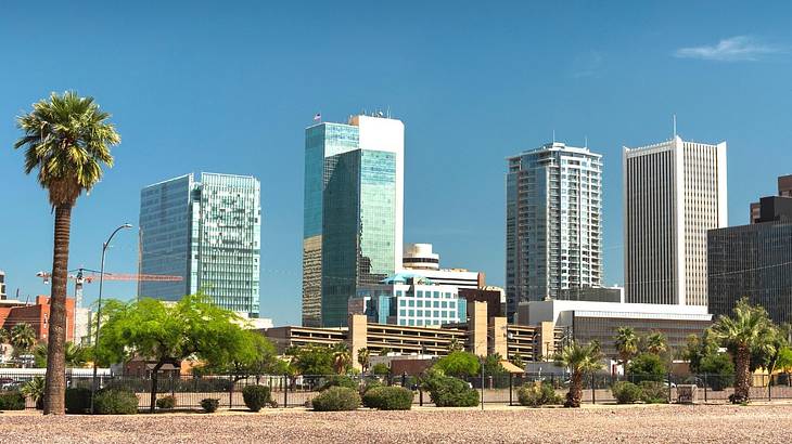 Mirrored city buildings with a palm tree and green shrubs in front of them Mirrored city buildings with a palm tree and green shrubs in front of them