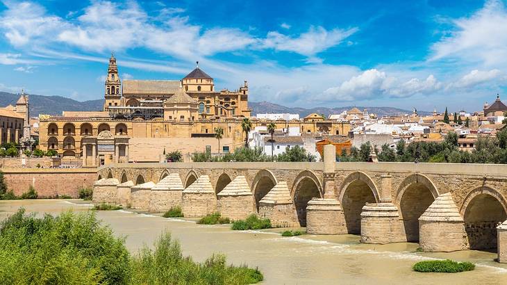 A view of an ancient city with a stone bridge over a river leading to a stone castle