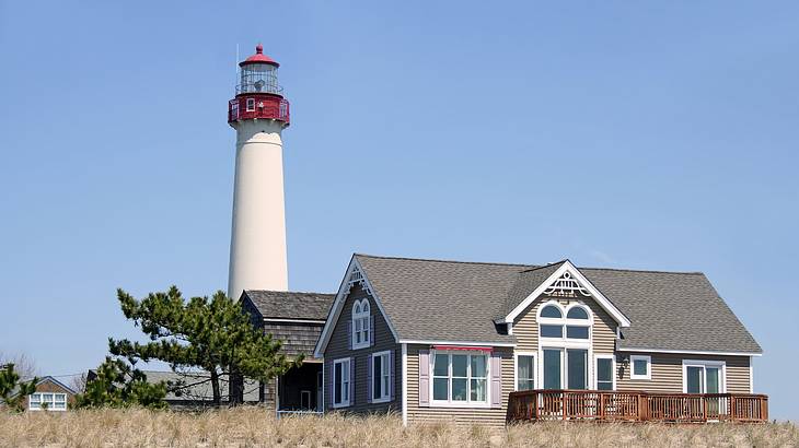 Houses and a tree in front of a red and whites lighthouse on a clear day