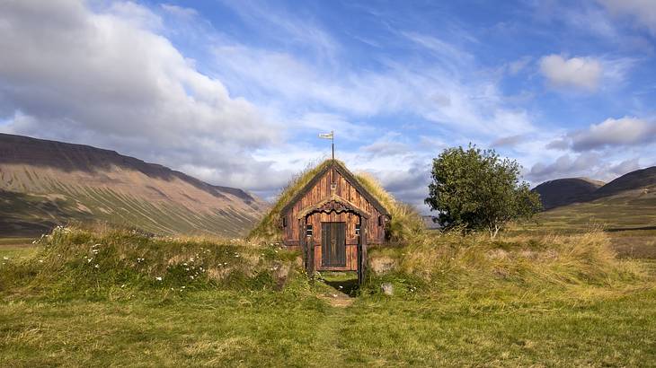 A small wooden structure with grass all around it under a blue sky with clouds