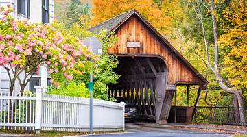 A wood-covered bridge next to a tree with pink flowers, a house, and a white fence