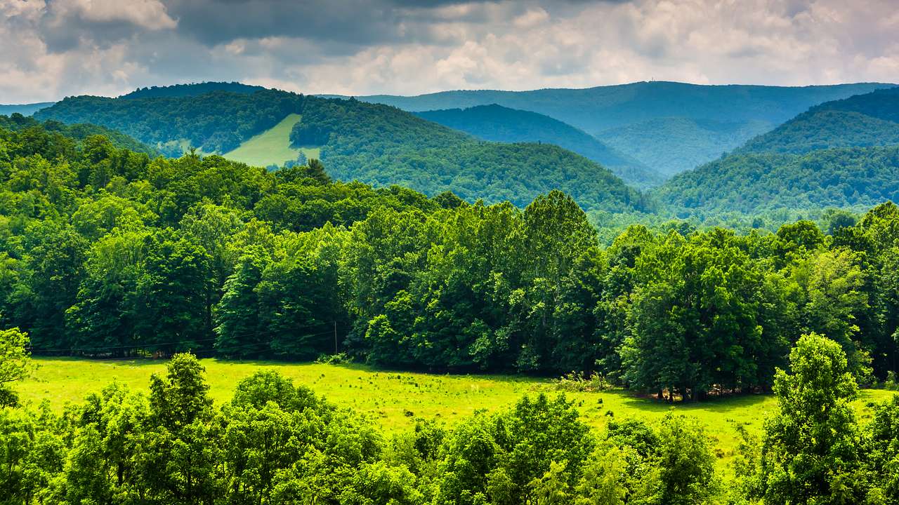 50 Interesting & Fun Facts About West Virginia State (Updated in 2023)