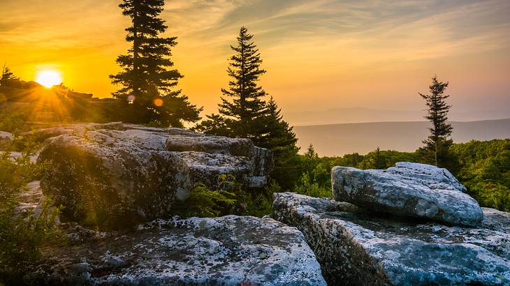 Large gray rocks with pine trees and a golden sunrise in the background