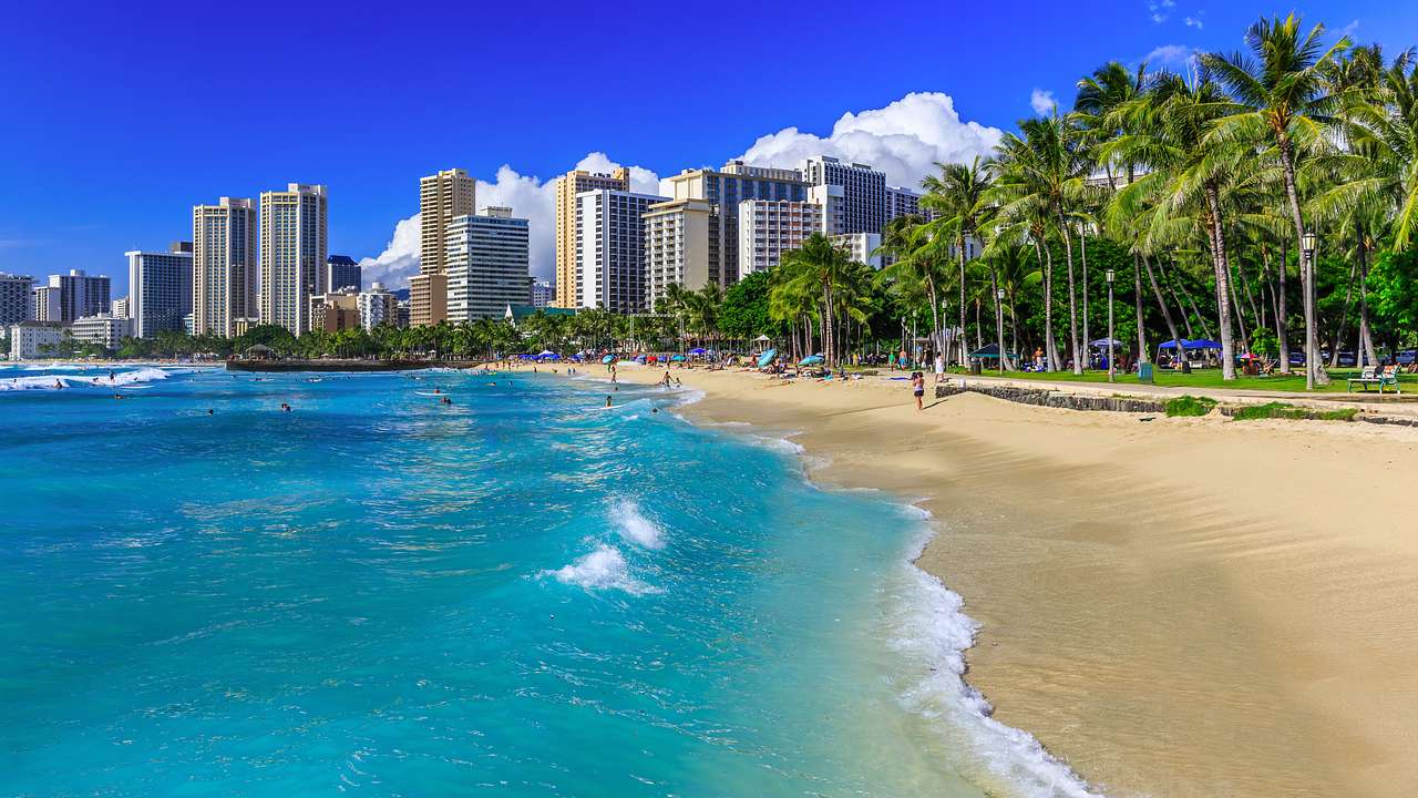 A sandy beach with palm trees and a blue ocean with tall buildings in the background