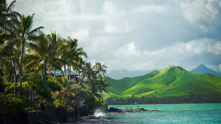 Green palm trees along the ocean and green mountains in the distance