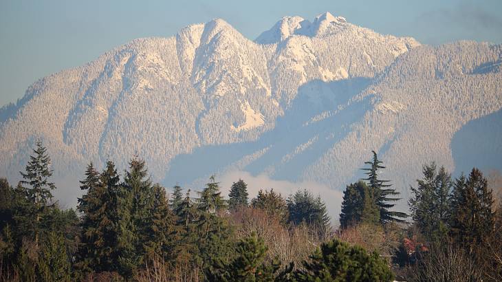 Close-up view of a mountain covered in snow with trees in front Close-up view of a mountain covered in snow with trees in front