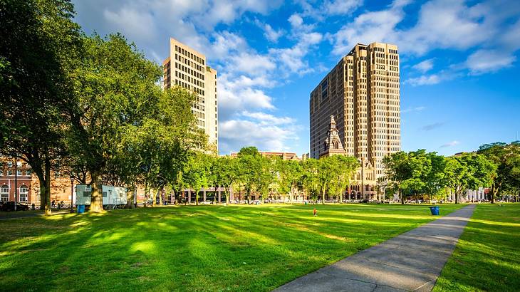 A walkway between green grass surrounded by trees in front of tall concrete buildings