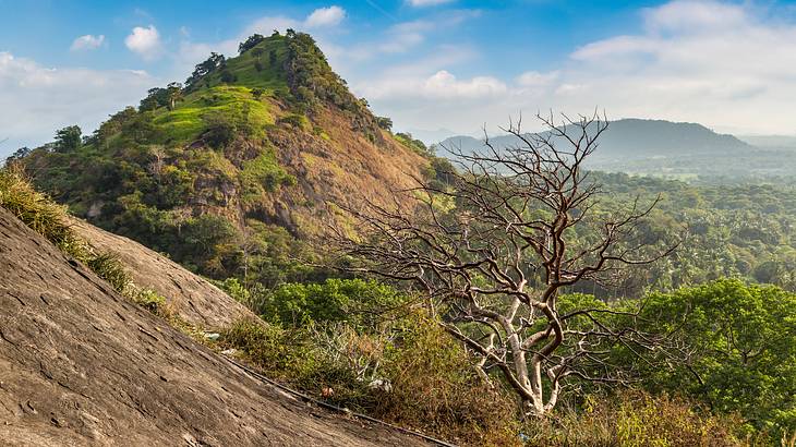 Rural Sri Lanka, Countryside, Dambulla