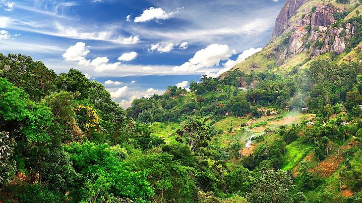 Aerial view of a village surrounded by trees and greenery in Ella, Sri Lanka