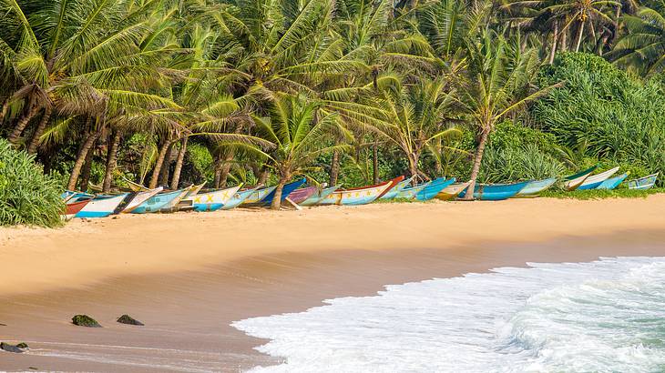 Mirissa, Sri Lanka