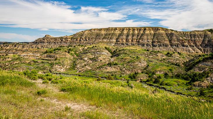 Becoming the 39th state in 1889 is one of the facts about North Dakota state Becoming the 39th state in 1889 is one of the facts about North Dakota state