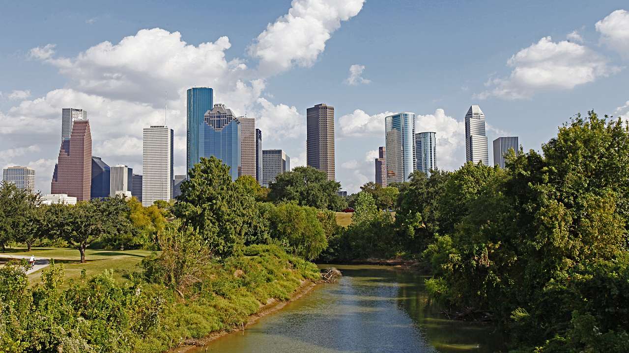 A river lined by trees and tall buildings in the distance