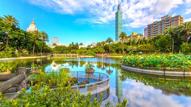 Panorama of Taipei city, full of buildings and skyscrapers, facing a park with a pond