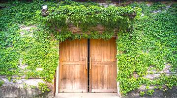 A wooden door of a building covered in greenery in Huashan 1914 Creative Park, Taipei