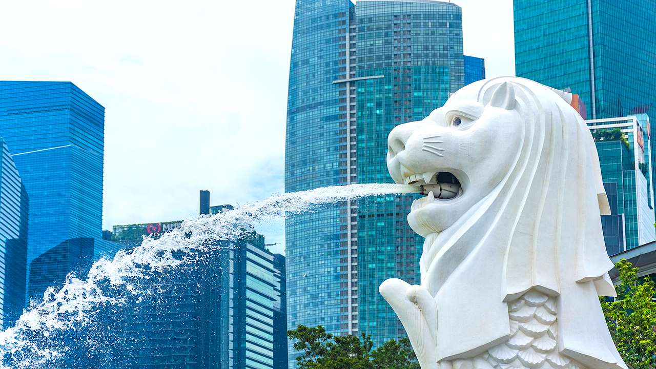Singapore's Merlion Statue spouting water from its mouth back, with buildings behind