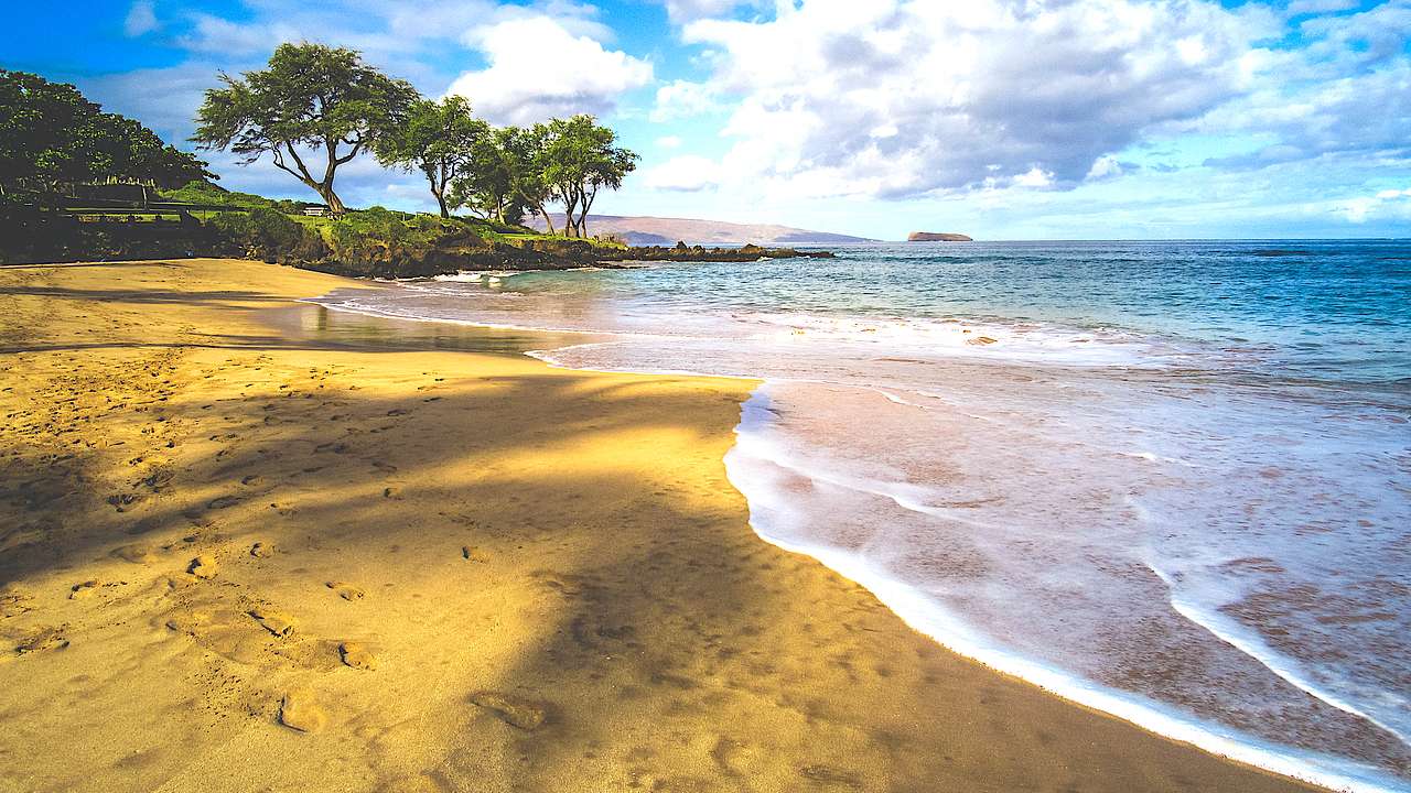 Trees swaying on a beach, Maluaka Beach, Maui, Hawaii, USA