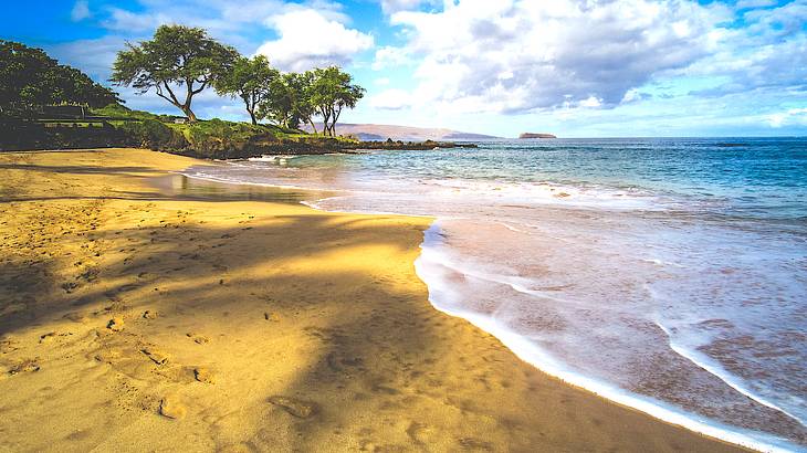 Trees swaying on a beach, Maluaka Beach, Maui, Hawaii, USA