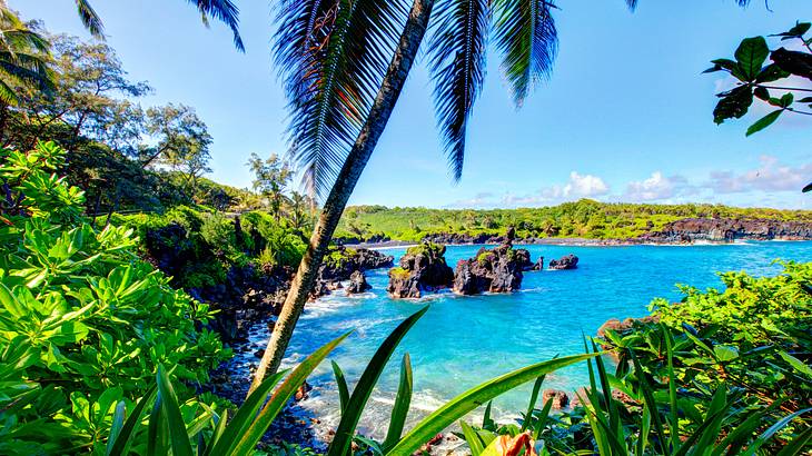 Coast along the Road to Hana, Maui, Hawaii, USA