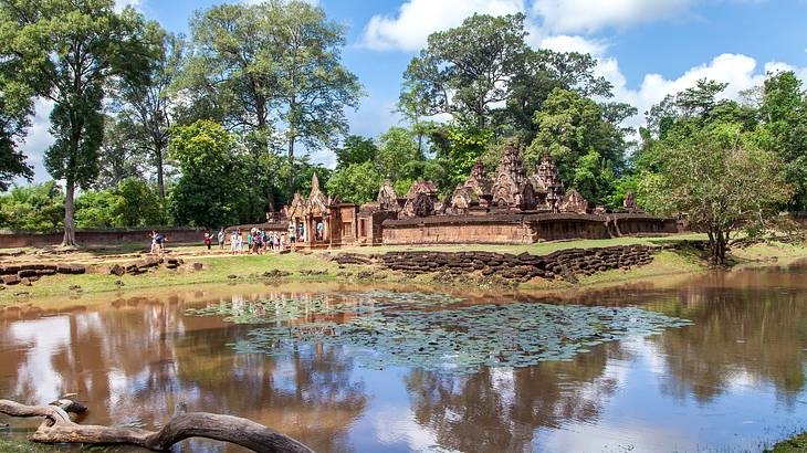 A tree trunk on the left with a pond and more trees/ancient temple ruins at the back