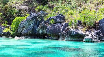 Crystal-clear blue water, rocks and trees on rocks in Palawan, Philippines
