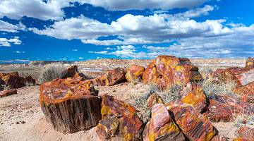 The best time to visit Petrified Forest National Park is either in the spring or fall