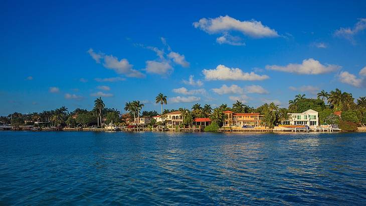 Waterfront houses with palm trees, on a sunny afternoon, from across the water