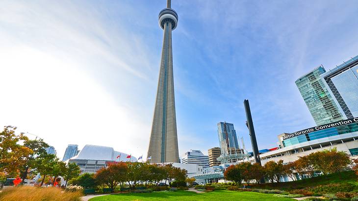 A tall tower facing a park with green lawn and reddish bushes against tall buildings