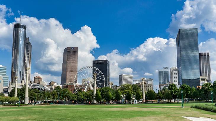 A skyline and a Ferris Wheel with green grass in front of it