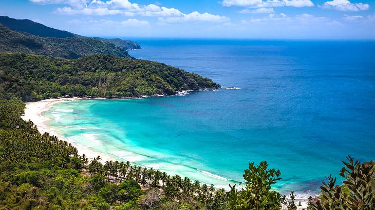 An aerial view of a white-sand beach next to the blue ocean and green trees