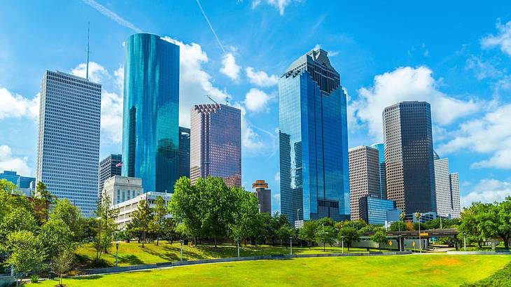 Skyscrapers, green grass, and trees on a sunny day