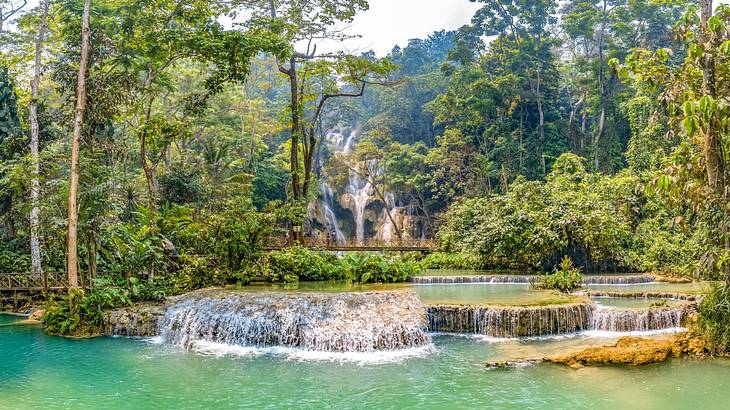 A small waterfall flowing into a pool surrounded by trees