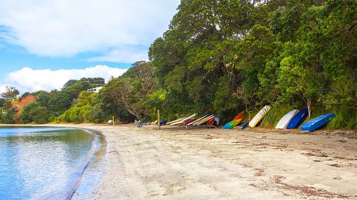 A sandy beach with the water on one side and trees and surfboards on the other