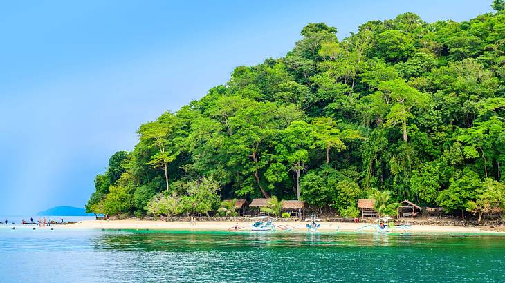 Turquoise water next to an island with lush green trees under a blue sky