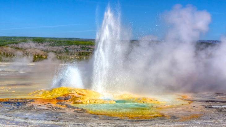 An erupting geyser surrounded by yellow rocks with forests of trees in the back