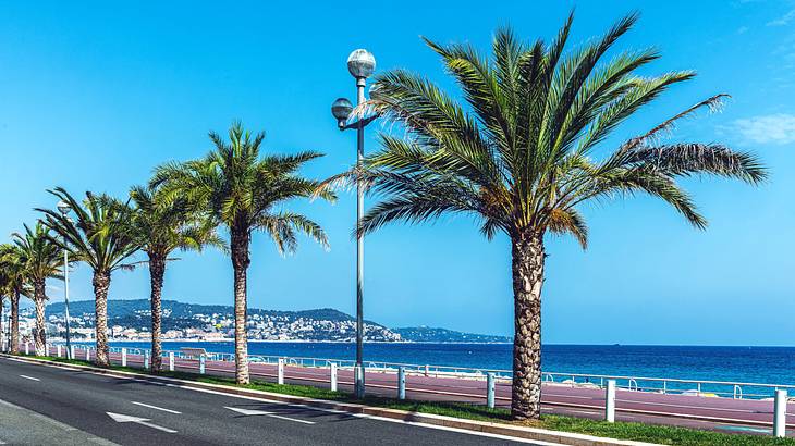 Palm trees along a road and boardwalk on a beautiful, sunny day in Nice, France