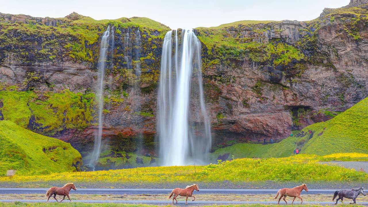 A view of a cascading waterfall with horses running next to it
