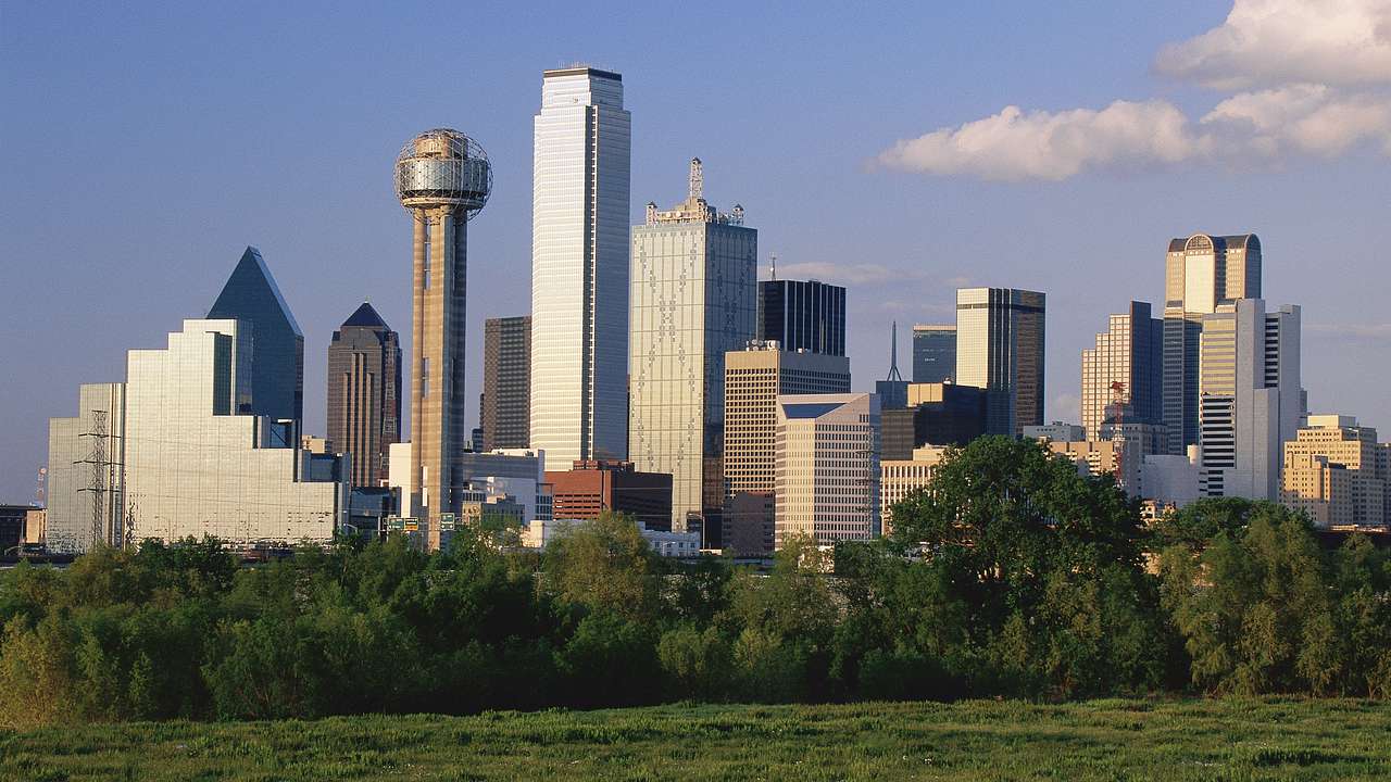 A city skyline of tall buildings with grass and bushes in front