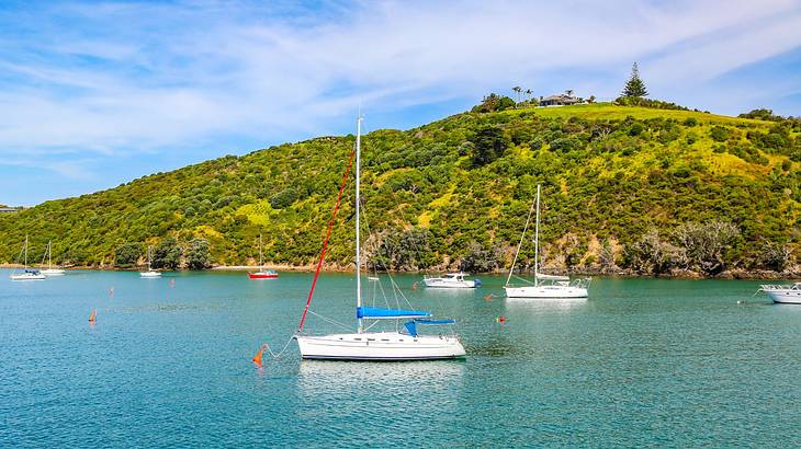 Boats on the turquoise water next to a greenery-covered hill under a blue sky