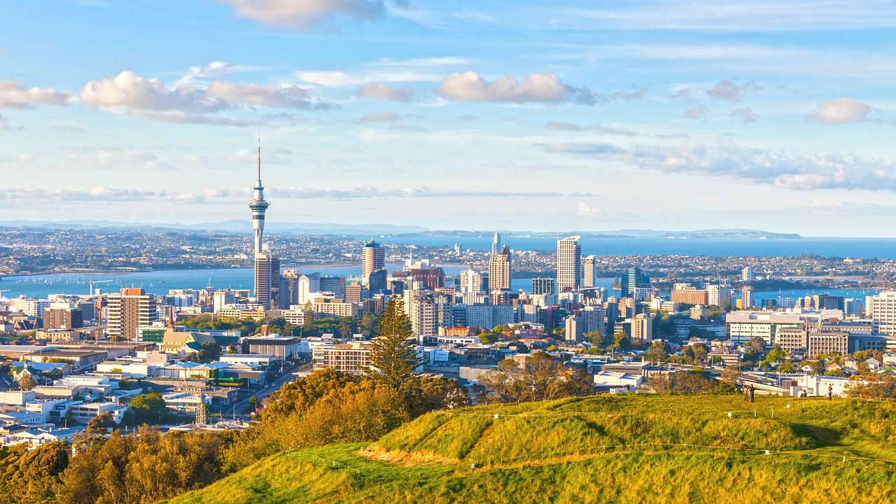 A green hill with a view of the Auckland skyline under a blue sky with clouds