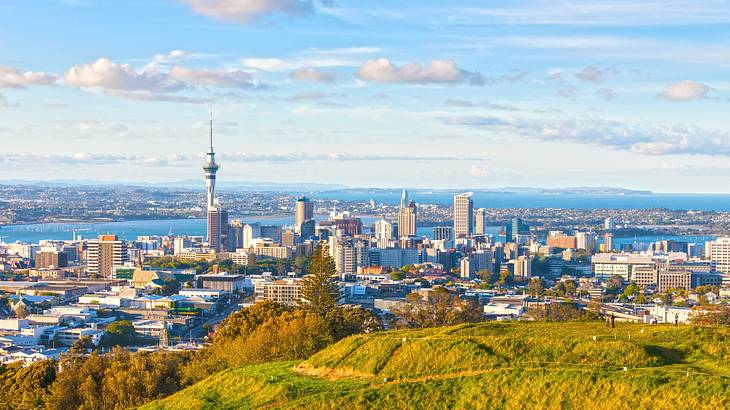 A green hill with a view of the Auckland skyline under a blue sky with clouds